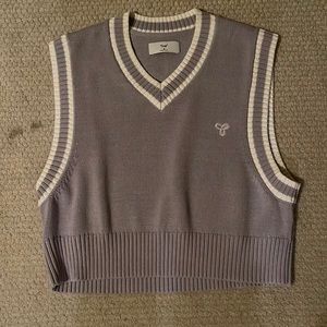 Never worn aritzia purple sweater vest